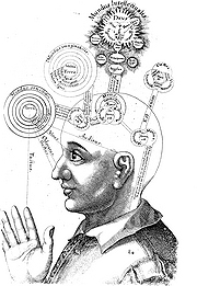 Сознание, рисунок с сайта answers.com