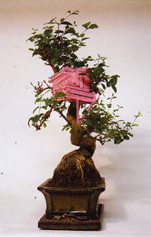 Eiko Sabela „Portable Shelter“